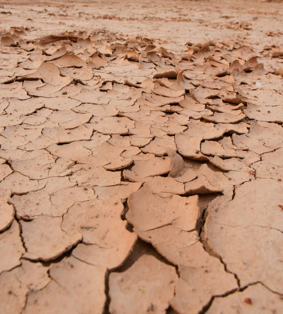 istock Textured background of cracked dry brown earth. 1219883159