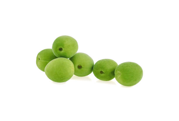 istock Green plum isolated on white background 1219883652