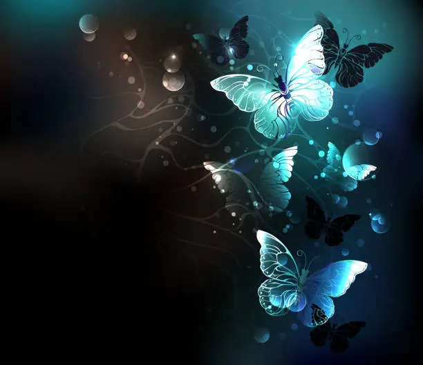 Vector illustration of Mint Night butterflies