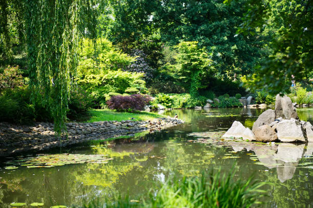 istock Summer japanese garden. Beautiful nature. City park 1219884997