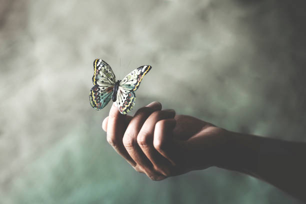 a colorated butterfly leans on a woman's hand a colorated butterfly leans on a woman's hand reincarnation stock pictures, royalty-free photos & images