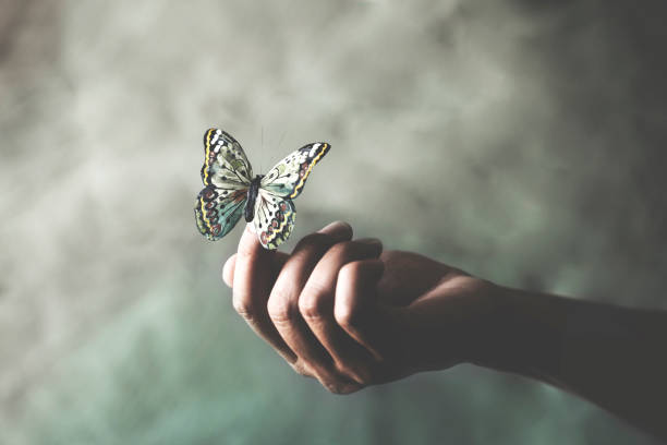 a colorated butterfly leans on a woman's hand - reincarnation imagens e fotografias de stock