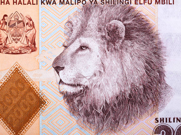 istock Lion a portrait from Tanzanian money 1219886587