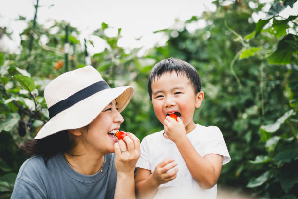 들판에서 토마토를 먹는 어머니와 아들 - vegetable child growth people 뉴스 사진 이미지