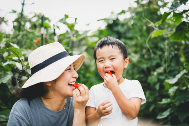 mãe e filho comendo tomate nos campos - gardening child vegetable garden vegetable - fotografias e filmes do acervo