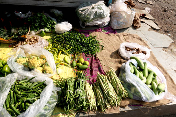 istock vegetable and fruit shopping in lock down 1219888575