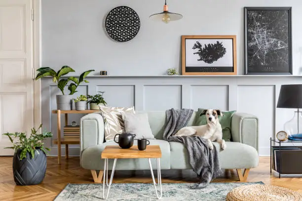 Photo of Stylish interior design of living room with modern mint sofa, wooden console, furniture, plant, mock up poster frame, pdecoration , elegant accessories in home decor and dog lying on the couch.