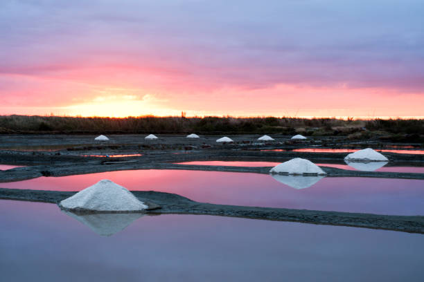coucher du soleil sur les marais salants - guerande, bretagne - pays de la loire photos et images de collection