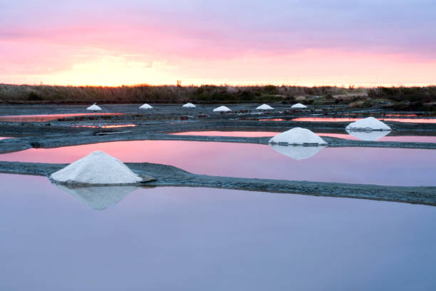 istock Sunset on salt marshes - Guerande, Brittany 1219894236