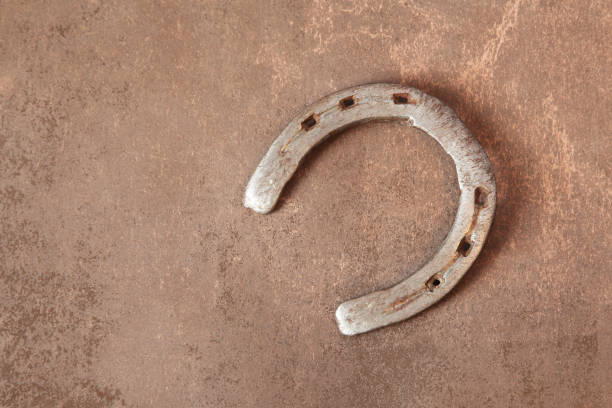 istock Old horseshoe on wooden background 1219894358