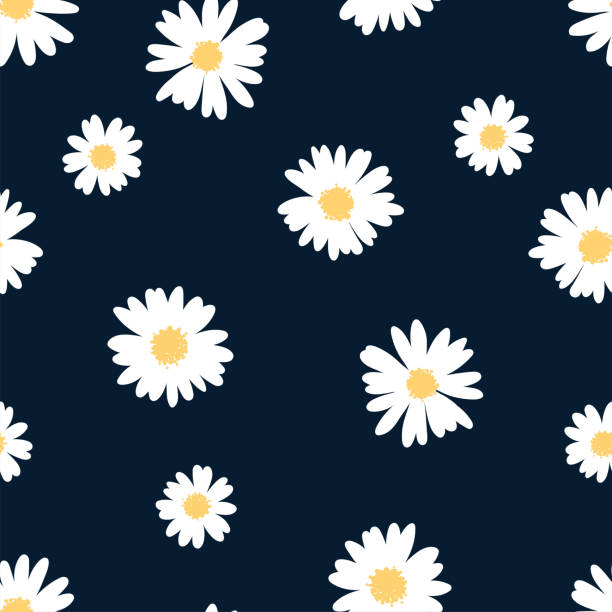 illustrations, cliparts, dessins animés et icônes de motif floral mignon sans couture dessiné à la main, fond de prairie de fleur belle, grand pour les textiles de printemps ou d’été, bannières, papier peint, emballage - conception vectorielle - white daisy