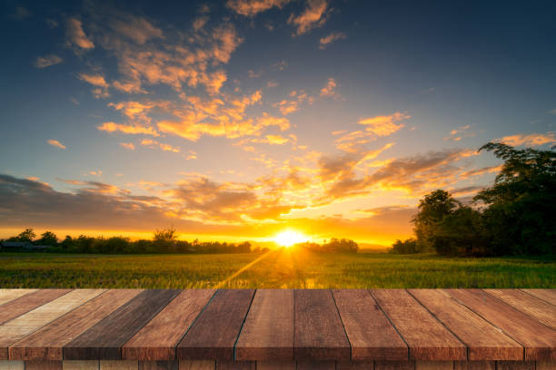istock Rice field sunset and Empty wood table for product display and montage. 1219894723