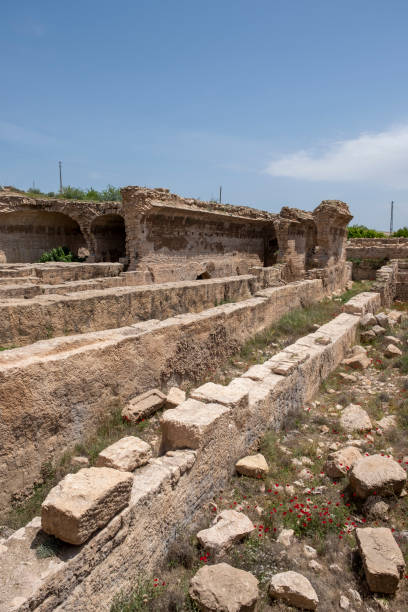 istock Dara Ancient City in Mardin, Turkey 1219894734