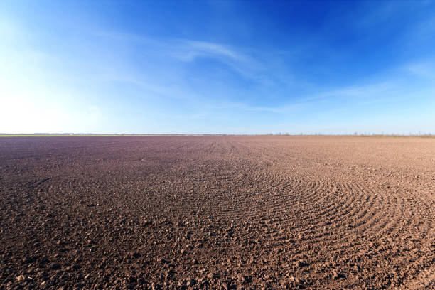 istock vspuchennye field agriculture 1219895095