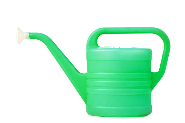 istock Green watering can isolated on white background. Garden 1219896179
