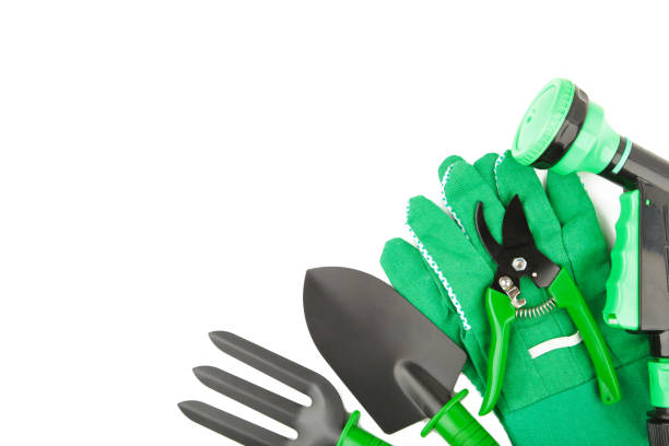 istock Gardening tools on white wooden background, top view 1219896196