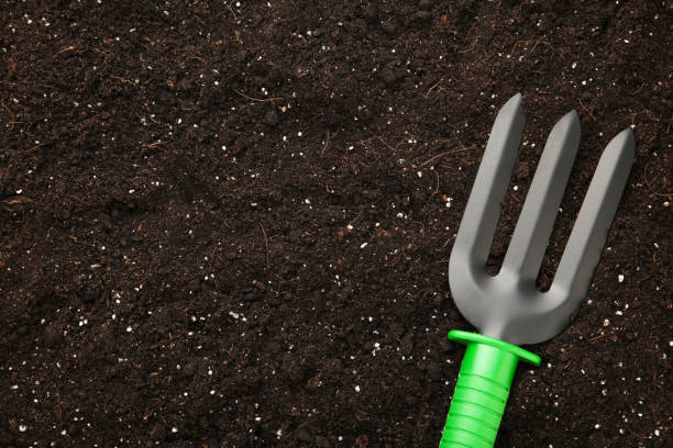 istock Plant care utensils on soil with copy space 1219896214