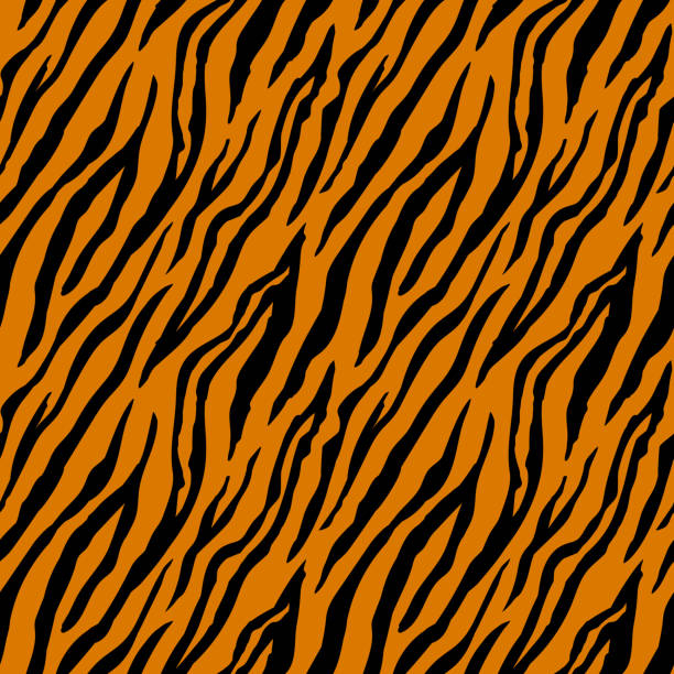 Seamless pattern with tiger stripes. Animal print. Seamless pattern with tiger stripes. Animal print. Vector illustration. fur textures stock illustrations