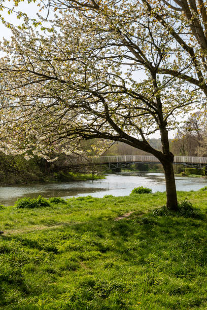 istock The River Ouse near Lewes 1219901778