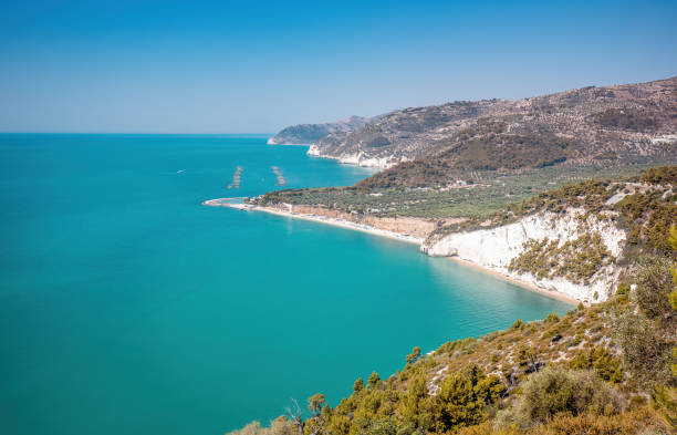 Gargano Coastline, Gulf of Manfredonia and the National Park in Puglia, Italy stock photo