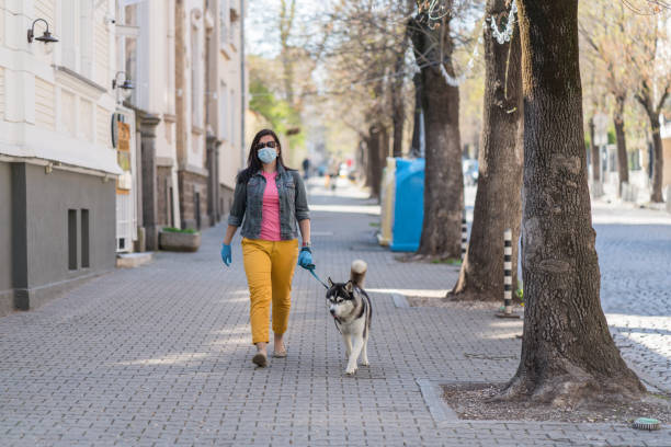 istock Woman walking her husky in coronavirus lockdown in Europe 1219903088
