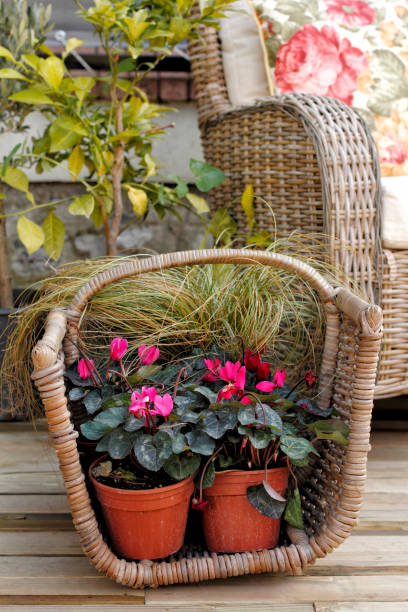 istock flowers in the garden 1219904233