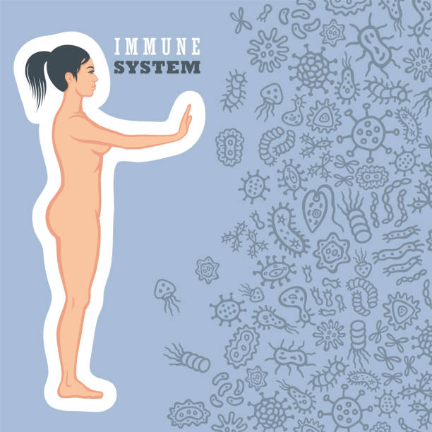 illustrazioni stock, clip art, cartoni animati e icone di tendenza di design del concetto di sistema immunitario - white blood cell human immune system virus cell