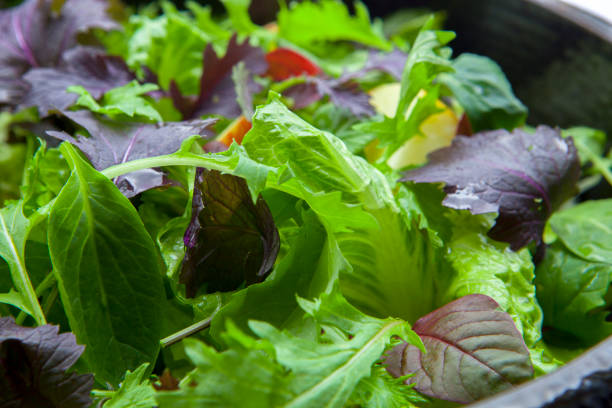 Vegetarianism, vegetables, continental breakfast, lettuce salad stock photo