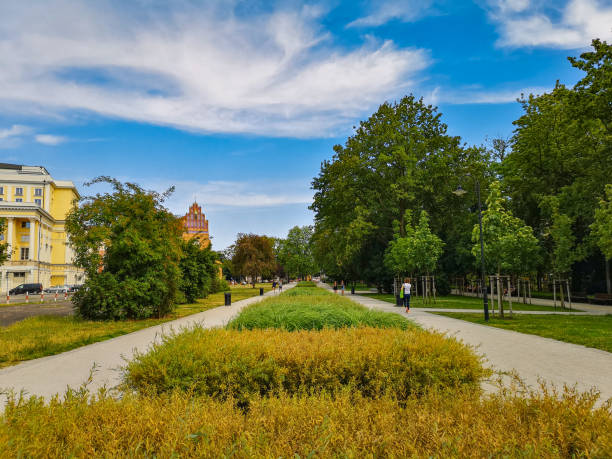 istock Pathways with colorful path with flowers and bushes between at sunny cloudy day 1219913372