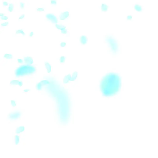 Vector illustration of Turquoise flower petals falling down. Likable roma