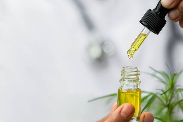 Doctor hand holding bottle of Cannabis oil against Marijuana plant, CBD hemp oil pipette. Cannabis recipe, alternative remedy or medication,  Medical marijuana, medicine concept. Doctor hand holding bottle of Cannabis oil against Marijuana plant, CBD hemp oil pipette. Cannabis recipe, alternative remedy or medication,  Medical marijuana, medicine concept. cbd oil photos stock pictures, royalty-free photos & images