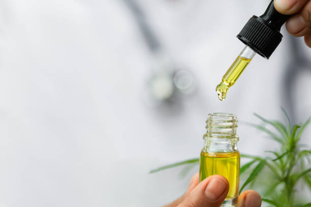 doctor hand holding bottle of cannabis oil against marijuana plant, cbd hemp oil pipette. cannabis recipe, alternative remedy or medication,  medical marijuana, medicine concept. - medical marijuana imagens e fotografias de stock