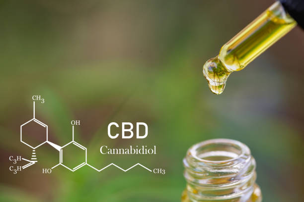 istock CBD elements in Cannabis,  droplet dosing a biological and ecological hemp plant herbal pharmaceutical cbd oil from a jar. Concept of herbal alternative medicine. 1219918072