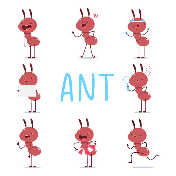 Cute ants vector cartoon characters set isolated on a white background. Cute ants vector cartoon characters set. ant stock illustrations