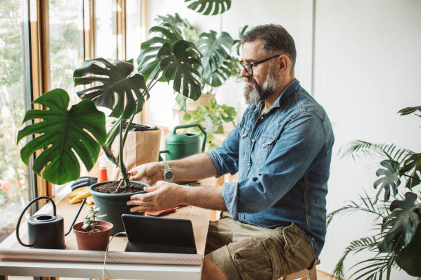 istock Flower gardening during isolation period 1219918958