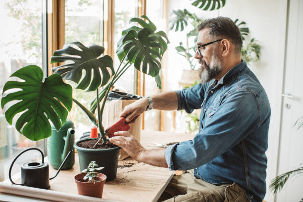 istock Flower gardening during isolation period 1219919136