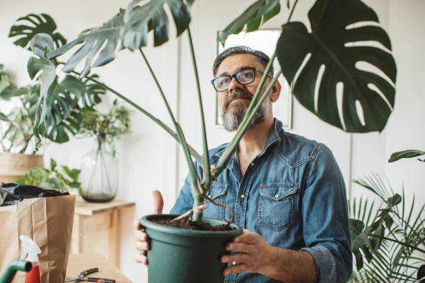 istock Flower gardening during isolation period 1219919180