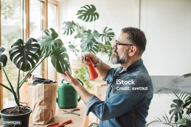 Flower Gardening During Isolation Period Stock Photo - Download Image Now - Plant, Men, Watering