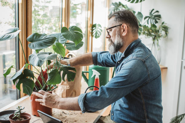 istock Gardening vlogging during isolation period 1219919240