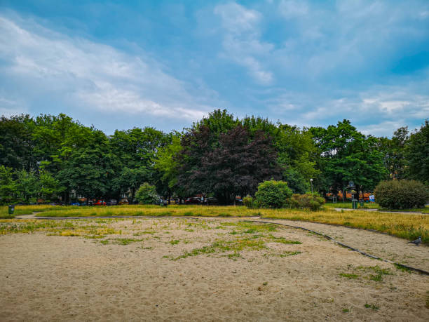 istock Colorful landscape with blue sky, green trees and sand with growing grass 1219920941