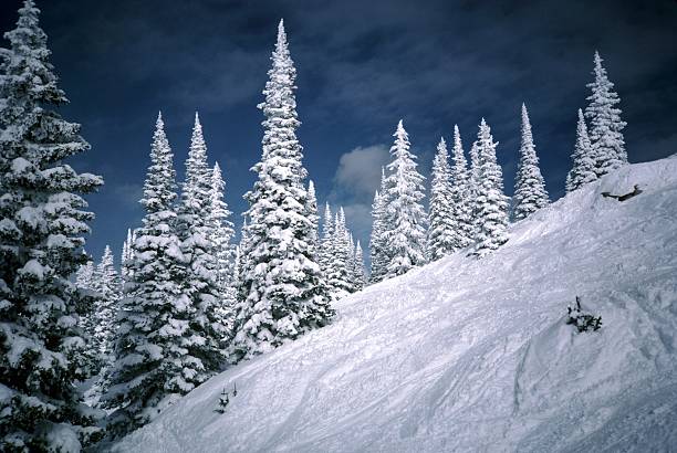 Steep Ski Slope at Steamboat Photo of steep ski slope at steamboat springs ski resort in colorado during winter. steamboat springs stock pictures, royalty-free photos & images