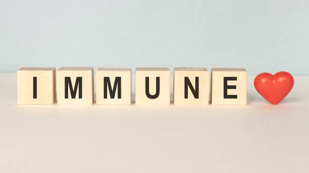 istock Immune Word Written In Wooden Cube on a light background 1219923589