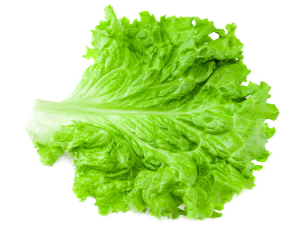 istock Salad leaf. One green lettuce isolated on white background. 1219926714
