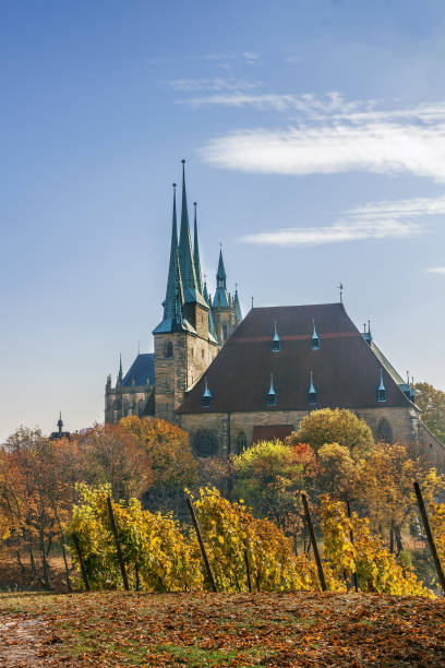 istock View of Erfurt cathedral, Germany 1219927192