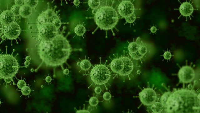 Seamless 4K Video - Virus, Bacteria Cells Under Microscope,  4K Video