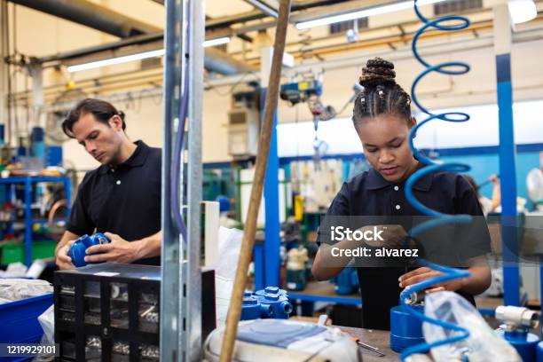 Factory Employees Working On Assembly Line Stock Photo - Download Image Now - Production Line, Manufacturing, Factory