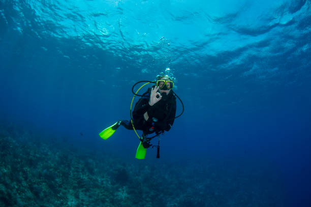 istock Scuba diving signals 1219930511
