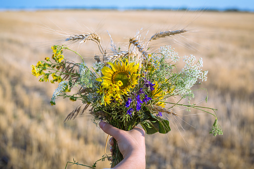 Bouquet of wildflowers in the girl's hand on the straw field background, outdoors