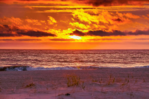 istock Rehoboth Beach DE USA 1219931060