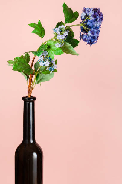 istock artificial flower in brown glass bottle on peach 1219931155